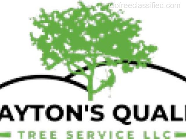 Tree Removal Experts Volusia - Clayton’s Quality Tree Service LLC - 1/1