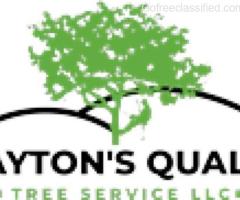 Tree Removal Experts Volusia - Clayton’s Quality Tree Service LLC