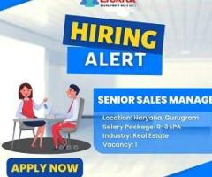 Senior Sales Manager Job At Geetanjali Homestate Pvt Ltd