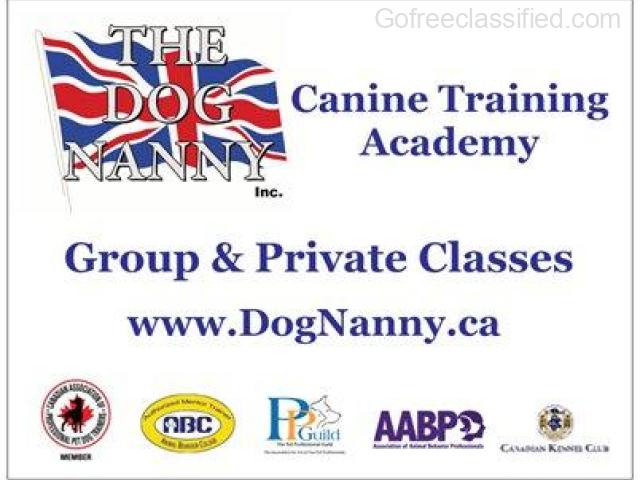Dog Training with The Do Nanny - 1/1