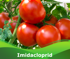 Get Today Imidacloprid 30.5% SC at Peptech Biosciences Ltd