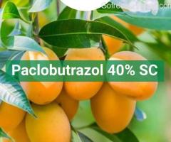 PACLOBUTRAZOL 40% SC | Peptech Bioscience Ltd | Manufacturer And Expor