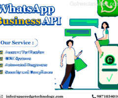 Best WhatsApp API for Small business