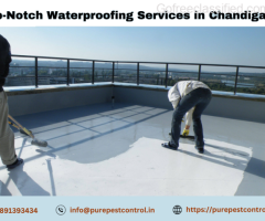 Keep Your Home Safe and Dry: Find Waterproofing Services in Chandigarh