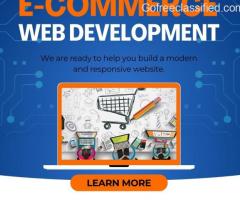 Expert Web designer and development Services