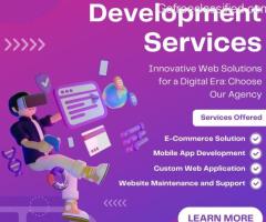 Use Professional Web Design and development Services | Egiz Solution