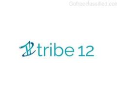 Embrace Diversity: Celebrate Queer Jewish Philly with Tribe 12