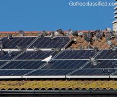 Solar Panel Bird Proofing Scotland