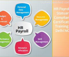 100% Placement in HR Course in Delhi, 110084 , Holi Offer Free SAP HCM