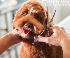 Presenting The Best Dog Groomers in Bangalore