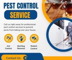 Expert Termite Control and Treatment Services
