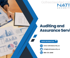 Professional Assurance and Auditing by Native Security LLC