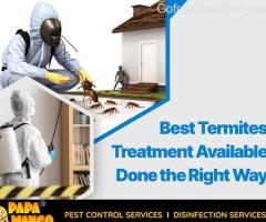 Experience Superior Termite Treatment with Papa Mango