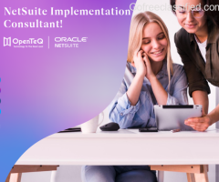 Empowering Businesses with Customized NetSuite Solutions | OpenTeQ Tec