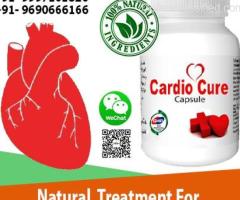 Get rid of cardiovascular problems with H
