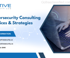 Custom Cybersecurity Consulting Services | Native Security LLC