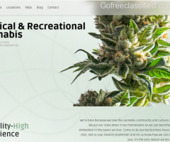 Unveiling Michigan’s Cannabis Wonderland: A Journeys through Medscafee